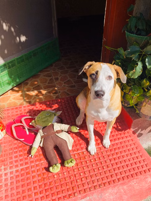 Kit Massinha de Modelar
